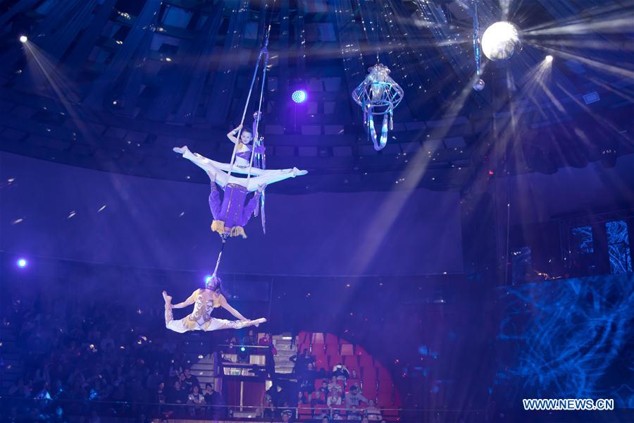 HUNGARY-BUDAPEST-CIRCUS SHOW