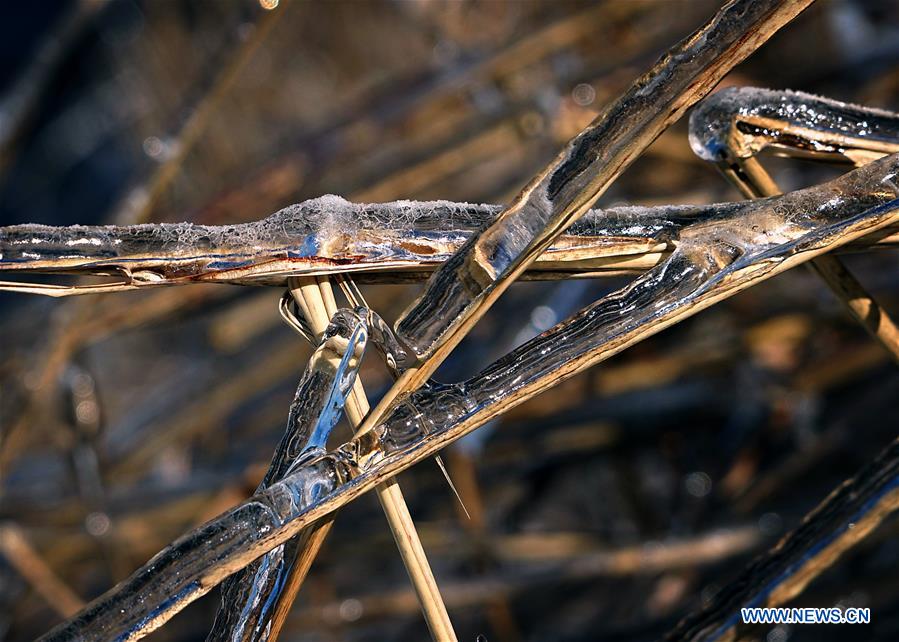 CHINA-HENAN-WINTER-ICE (CN)