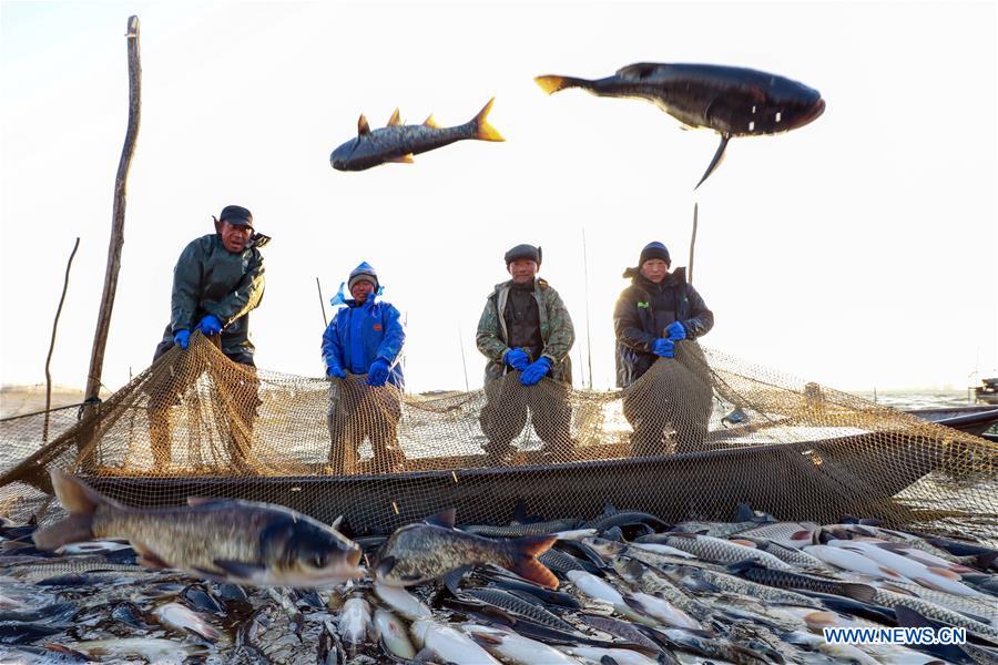 #CHINA-JIANGSU-WINTER FISHING (CN)