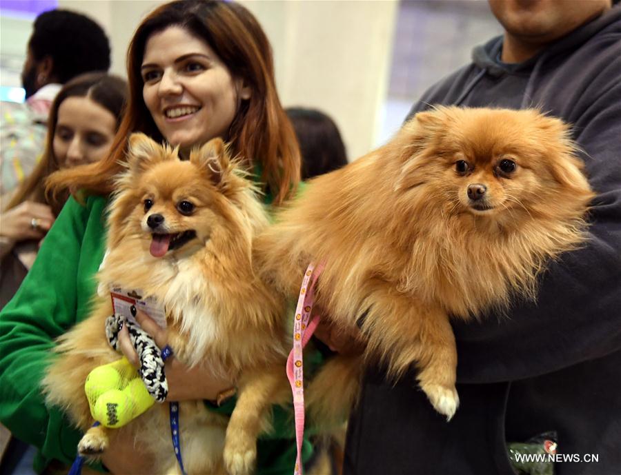 PORTUGAL-LISBON-PET SHOW