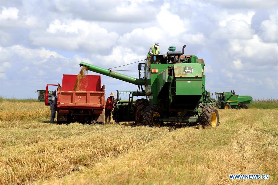 MOZAMBIQUE-GAZA-CHINA-AGRICULTURAL PROJECT