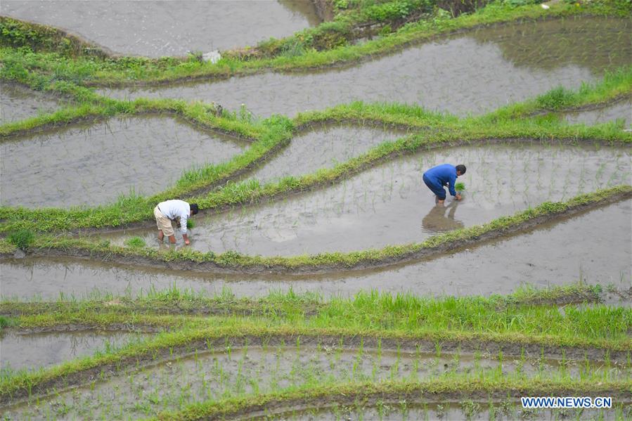 #CHINA-HUNAN-LOUDI-TERRACED FIELDS (CN*)