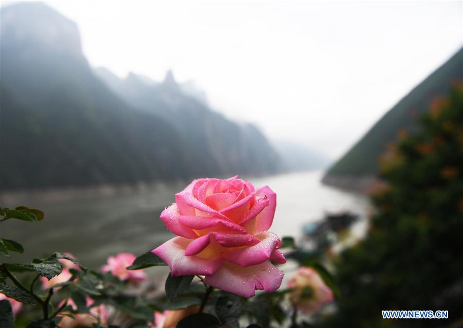 CHINA-CHONGQING-GORGE (CN)