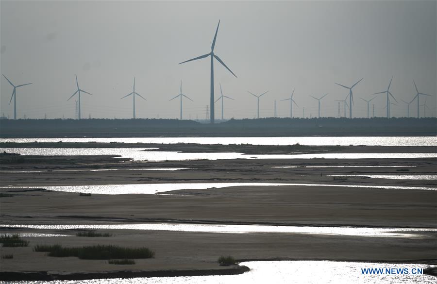 CHINA-JIANGSU-RUDONG-WIND POWER (CN)