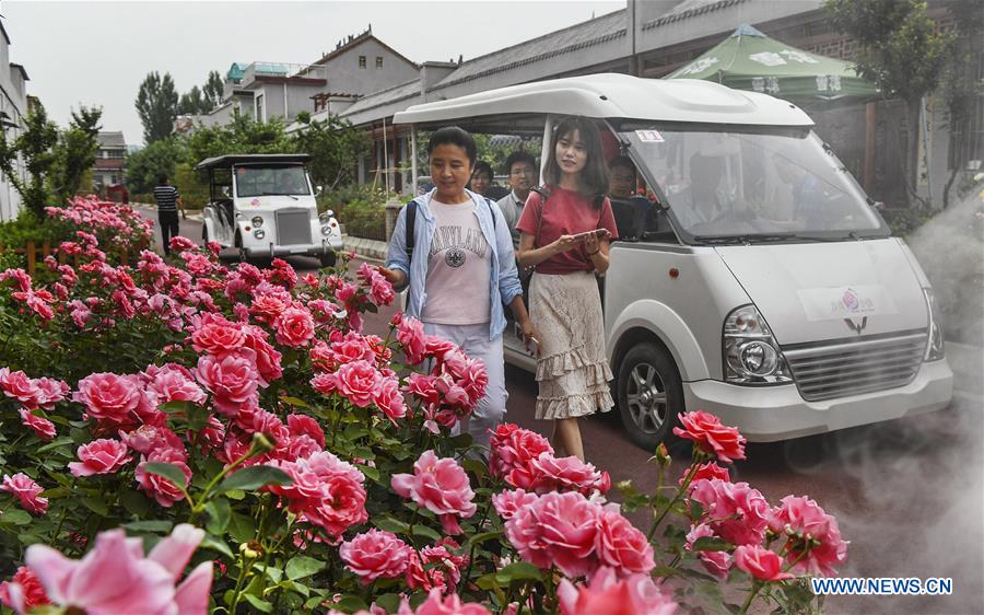 CHINA-SHAANXI-LUONAN-ROSE TOWN (CN)