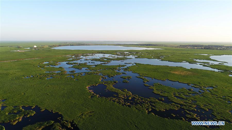 CHINA-HEILONGJIANG-QIQIHAR-NATURE RESERVE (CN)