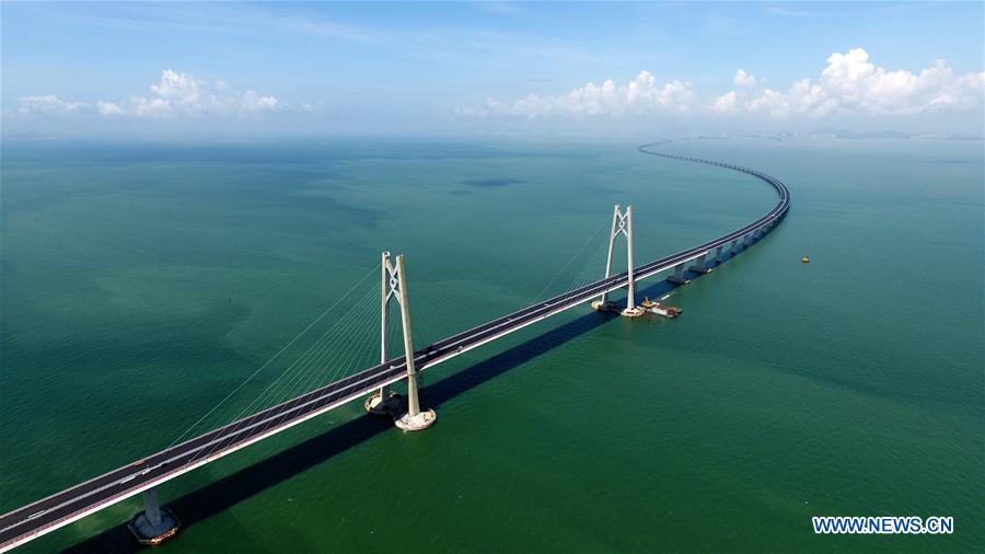 Xinhua Headlines: China to keep closer eye on endangered dolphins under epic bridge