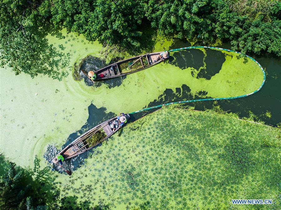 CHINA-ZHEJIANG-RIVER-CLEARANCE (CN)