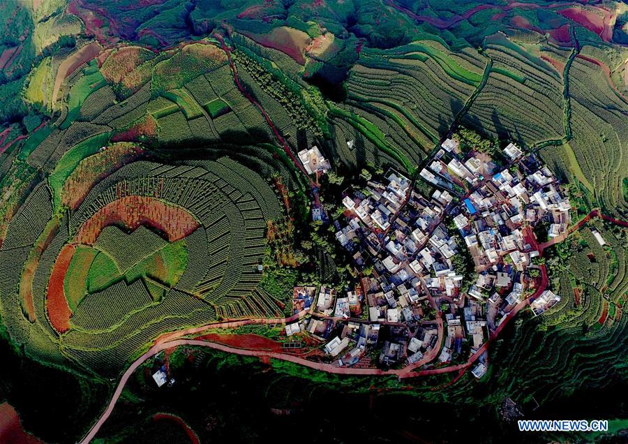 CHINA-YUNNAN-DONGCHUAN RED LAND-SCENERY (CN)