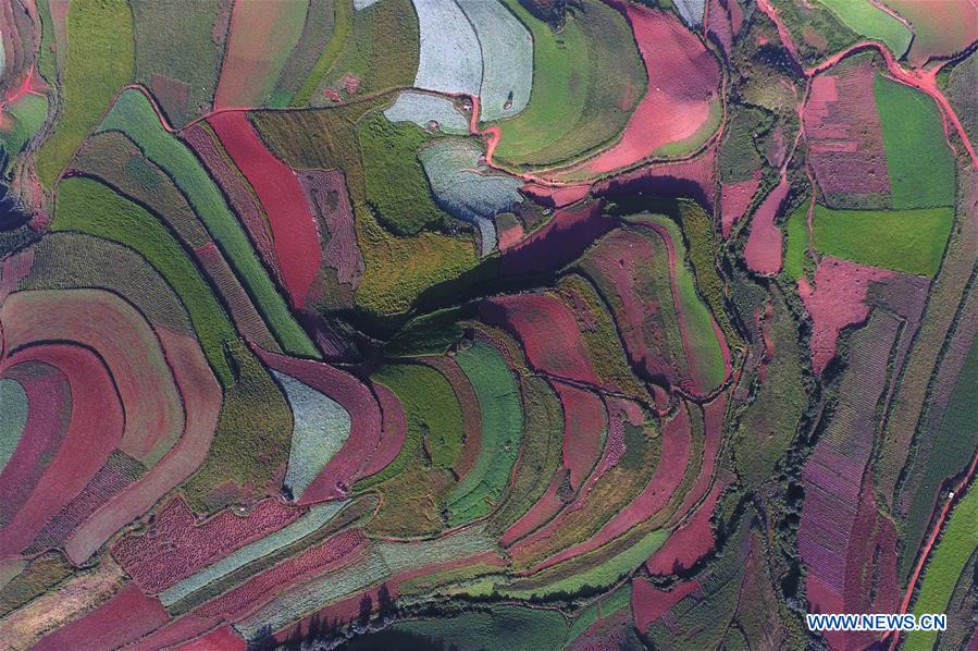 CHINA-YUNNAN-DONGCHUAN RED LAND-SCENERY (CN)