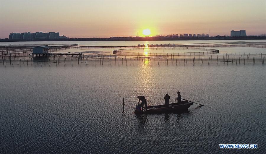 CHINA-JIANGSU-KUNSHAN-HAIRY CRAB CULTIVATOR (CN)