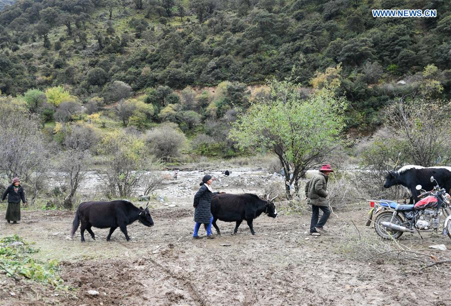 CHINA-TIBET-QAMDO-LANDSLIDE-RESCUE (CN)