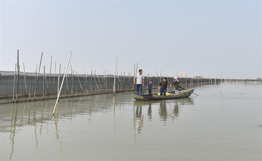 CHINA-ZHEJIANG-CRABS-HARVEST (CN)