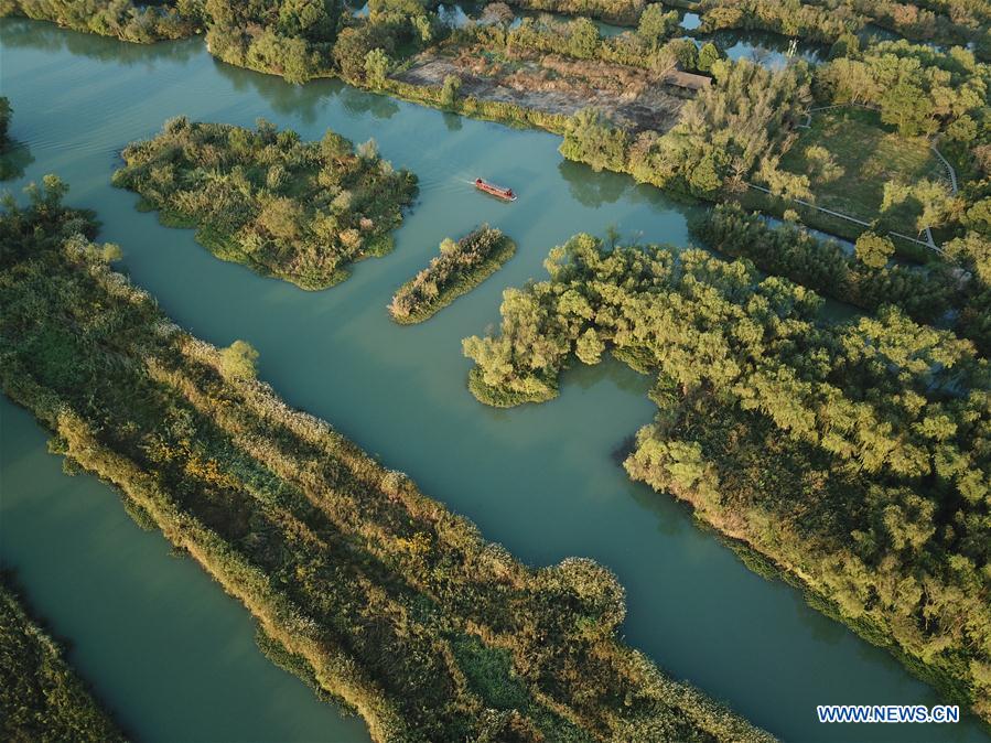 CHINA-HANGZHOU-XIXI WETLAND-AUTUMN SCENERY (CN)