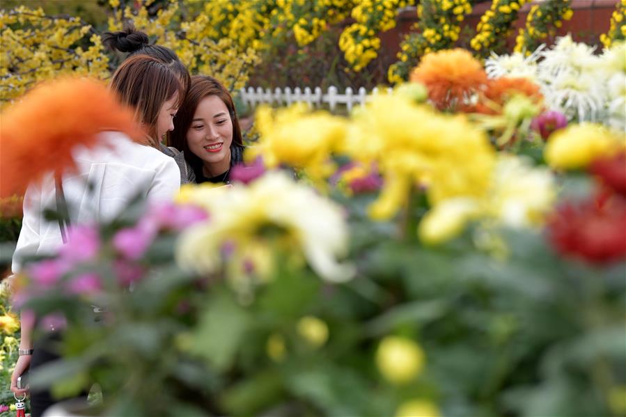 CHINA-JIANGXI-NANCHANG-CHRYSANTHEMUM SHOW (CN)