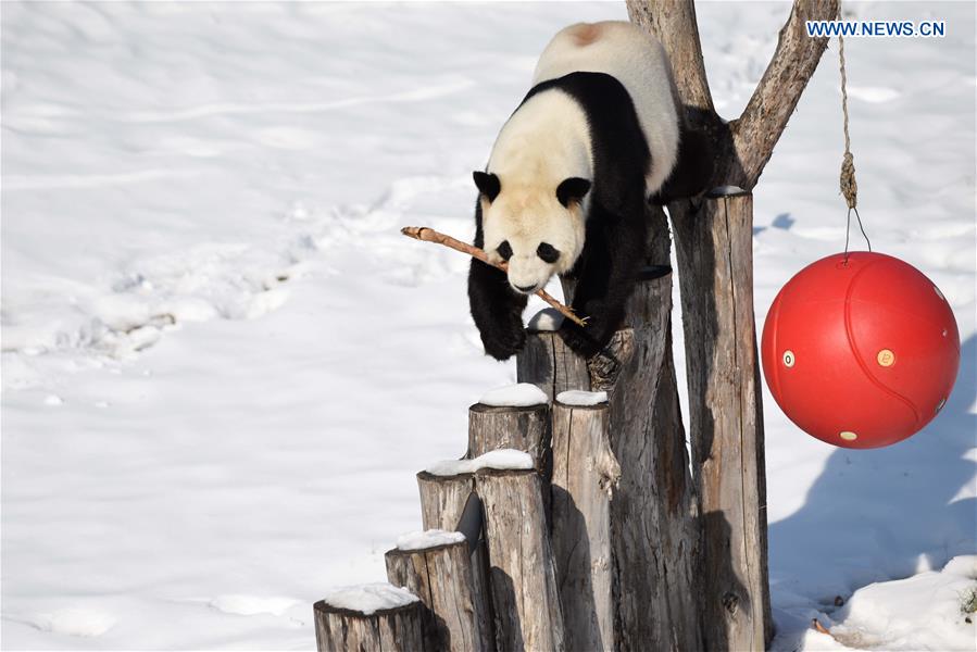 XINHUA PHOTO WEEKLY CHOICE