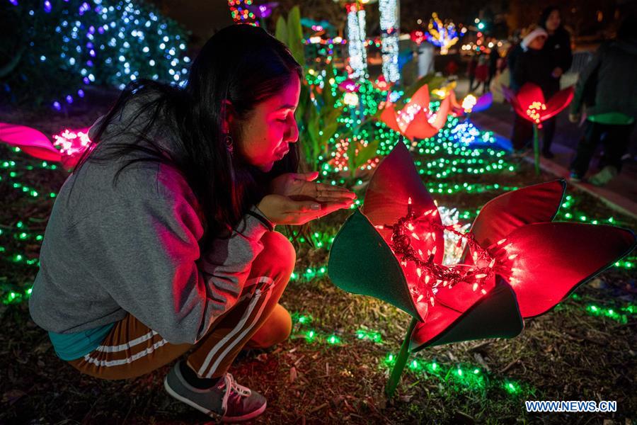 U.S.-LOS ANGELES-CHRISTMAS LIGHT SHOW 