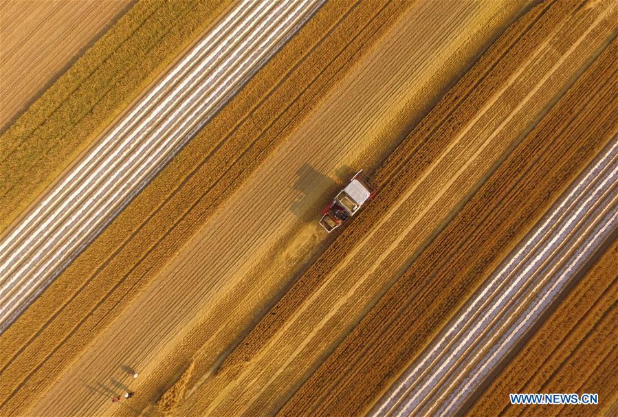 CHINA-AGRICULTURE-MECHANIZATION RATE (CN)