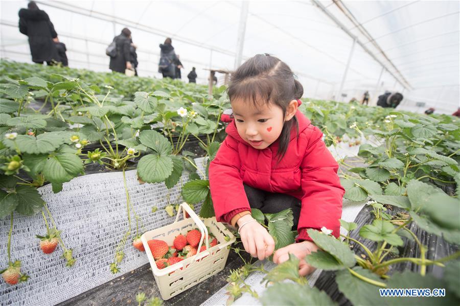 CHINA-ZHEJIANG-JIANDE-AGRICULTURE