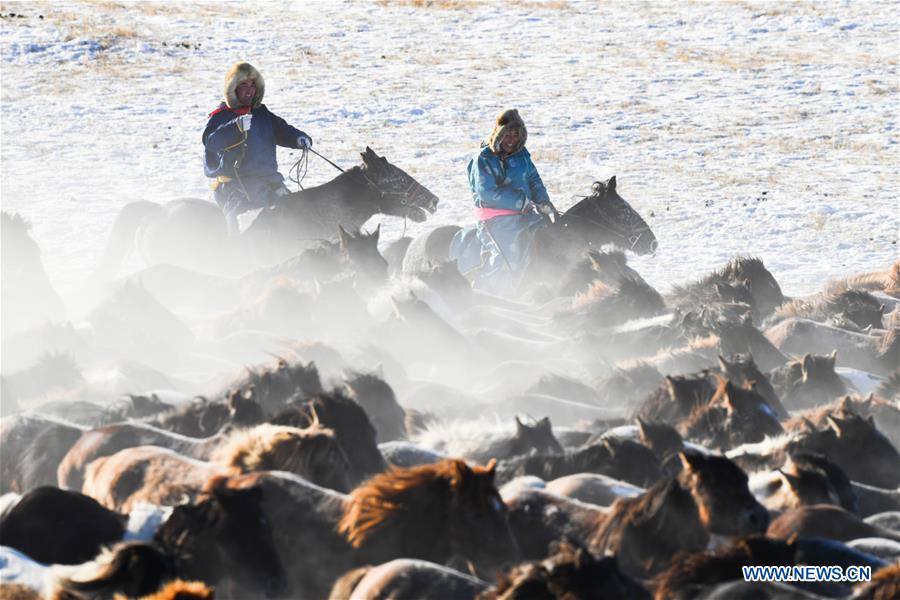 CHINA-INNER MONGOLIA-HORSE TAMING (CN)