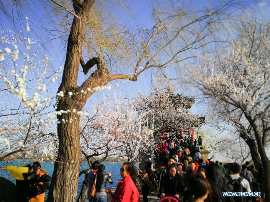 (BeijingCandid) CHINA-BEIJING-SPRING (CN)