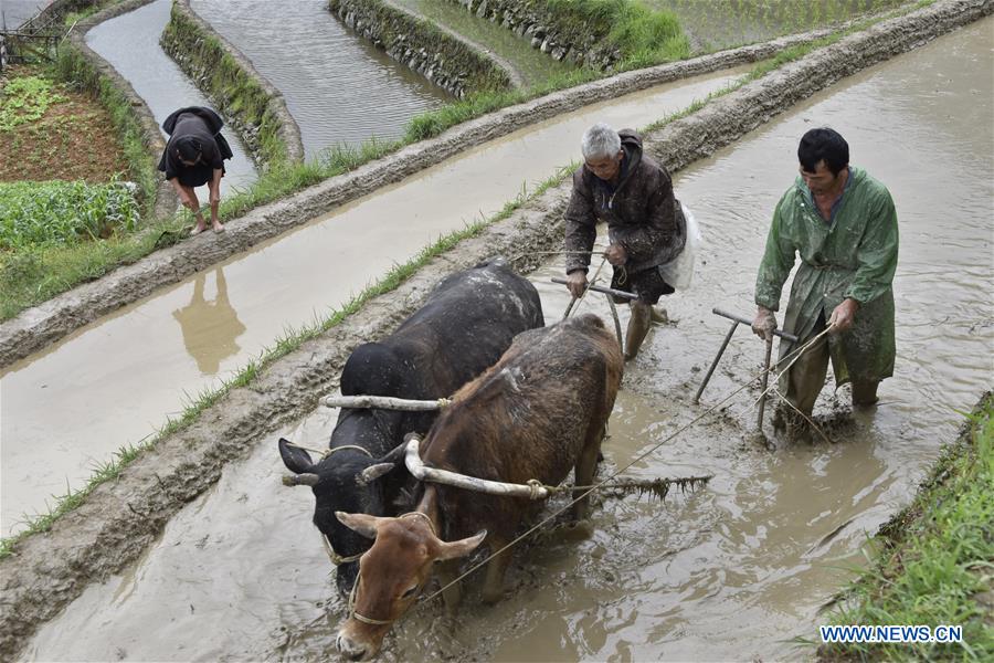 #CHINA-SUMMER-FARMING (CN)