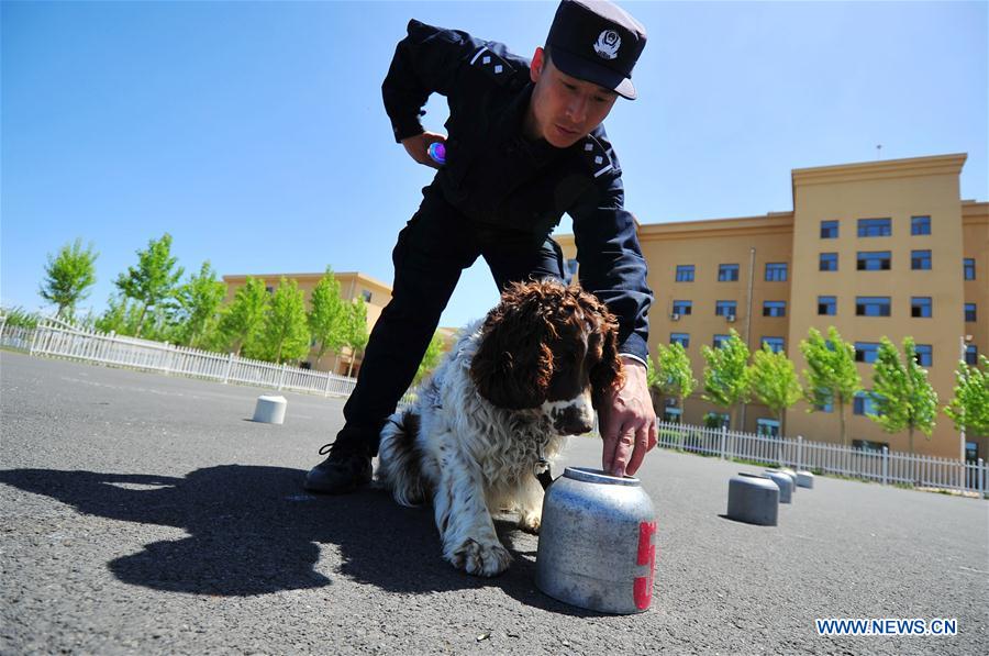 #CHINA-HARBIN-POLICE DOG-TRAINING (CN)