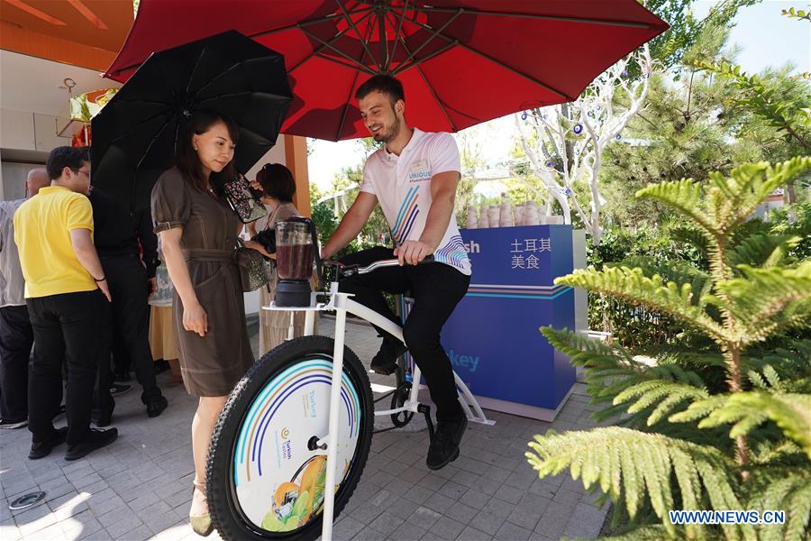 CHINA-BEIJING-HORTICULTURAL EXPO-TURKEY DAY (CN)