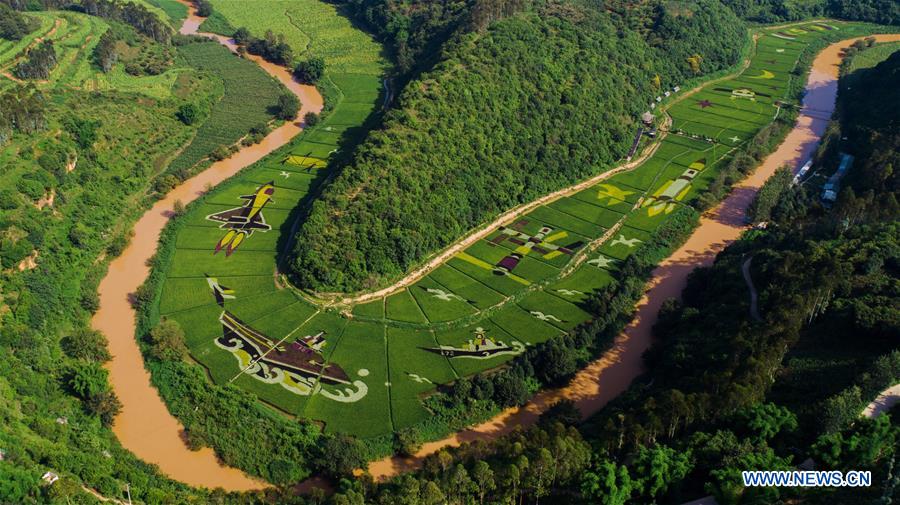 CHINA-YUNNAN-YILIANG-PADDY FIELDS (CN)