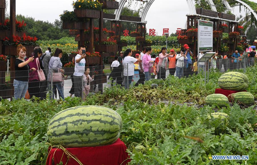 CHINA-JILIN-CHANGCHUN-AGRICULTURE EXPO (CN)