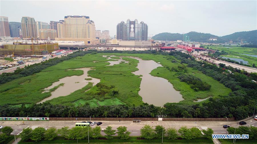 (EcoChina)CHINA-HORTICULTURAL EXPO-MACAO (CN)