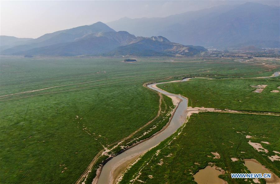 CHINA-JIANGXI-POYANG LAKE-DRY SEASON (CN)