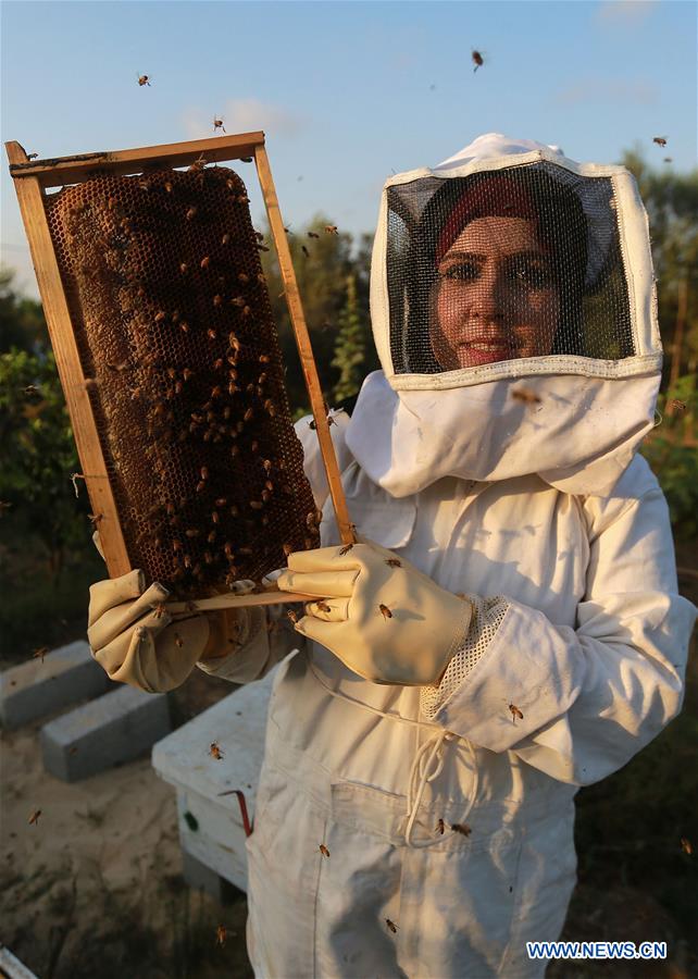 MIDEAST-GAZA-BEEKEEPER