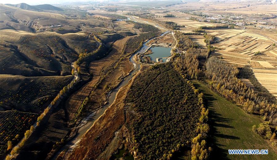 CHINA-INNER MONGOLIA-HORINGER-AUTUMN SCENERY (CN)