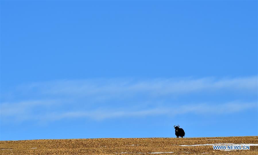 XINHUA PHOTOS OF THE DAY 