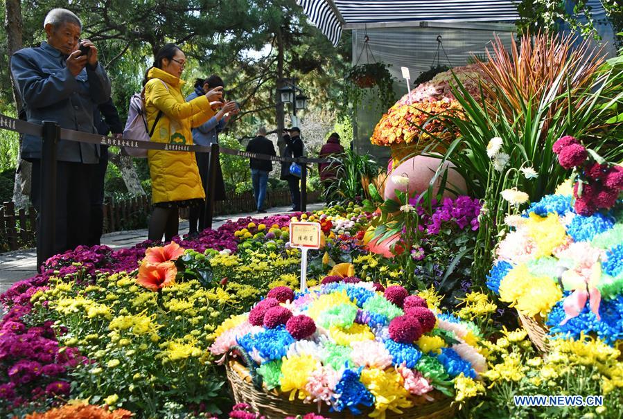 CHINA-SHANDONG-JINAN-CHRYSANTHEMUM EXHIBITION (CN)