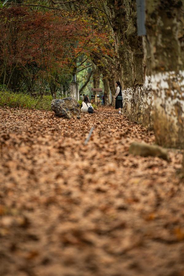 CHINA-GUIZHOU-GUIYANG-AUTUMN SCENERY (CN)