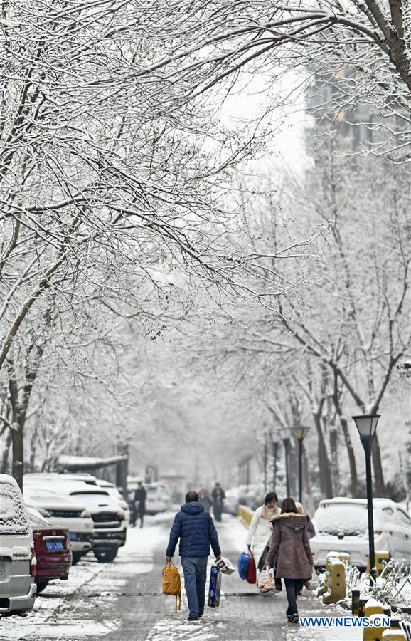 CHINA-BEIJING-SNOW-SCENERY (CN)