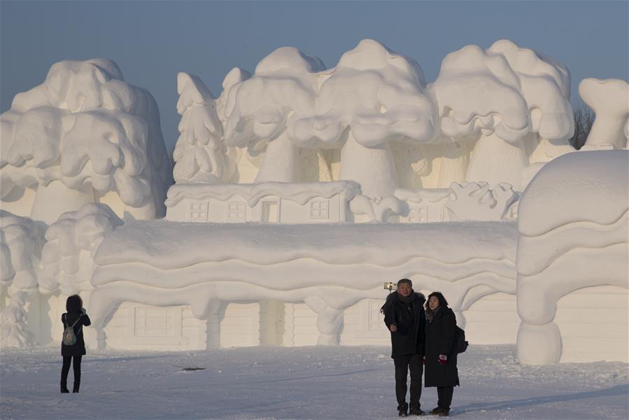 CHINA-HEILONGJIANG-HARBIN-INTERNATIONAL SNOW SCULPTURE ART EXPOSITION (CN)