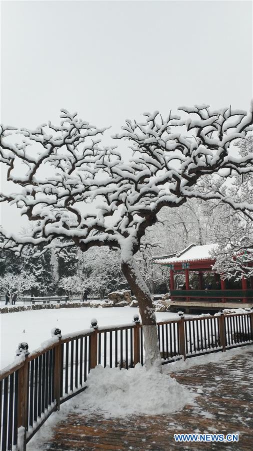 (BeijingCandid)CHINA-BEIJING-WINTER (CN)