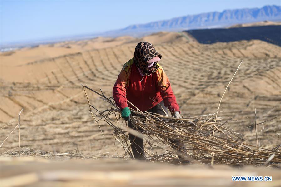 CHINA-INNER MONGOLIA-KUBUQI DESERT-DESERTIFICATION CONTROL (CN)