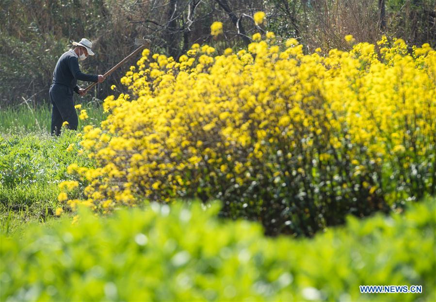 CHINA-HUBEI-WUHAN-SPRING SCENERY (CN)