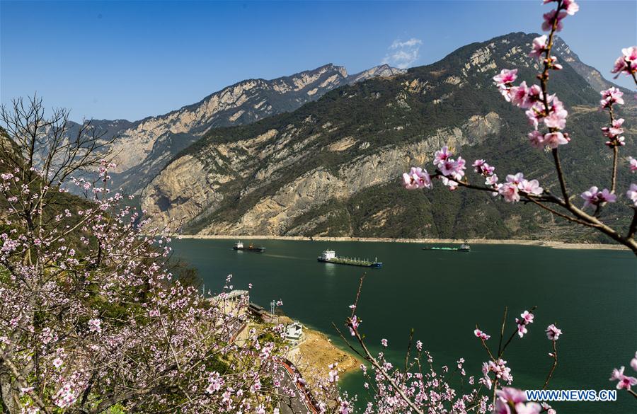 #CHINA-HUBEI-YICHANG-THREE GORGES-SPRING SCENERY (CN)