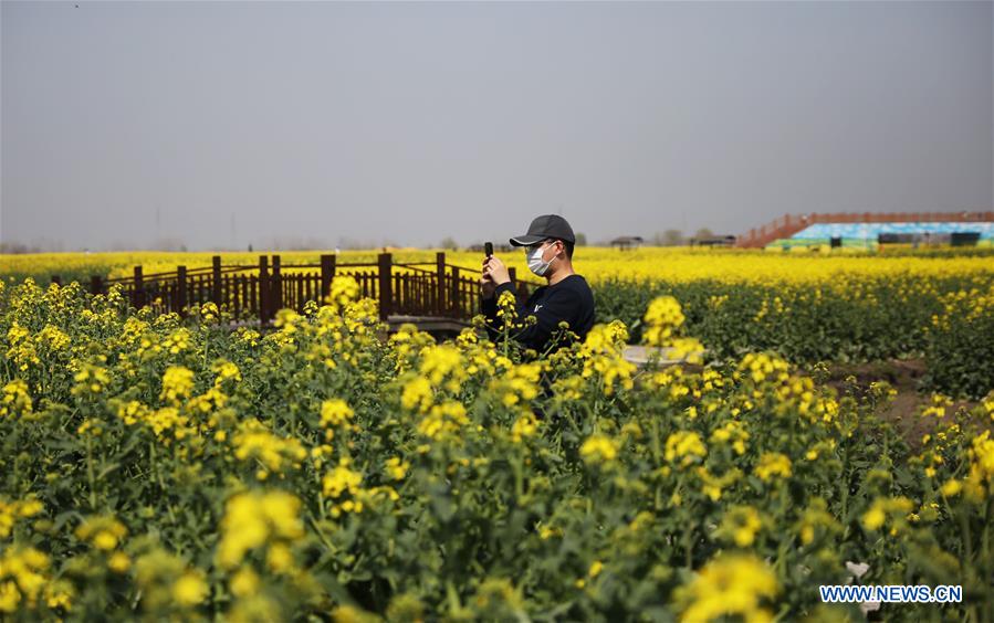 CHINA-JIANGSU-XINGHUA-COLE FLOWERS (CN)