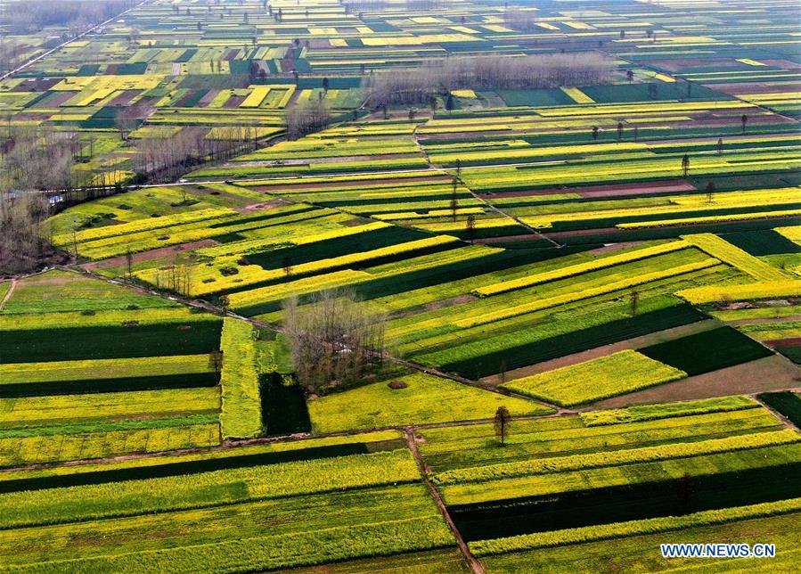 CHINA-HENAN-SPRING SCENERY (CN)