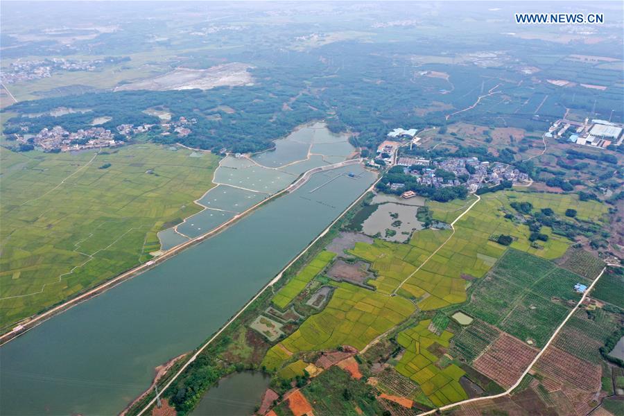 CHINA-GUANGXI-BINYANG-RURAL SCENERY (CN)