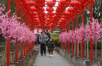 Traditional activities held in east China's Zhejiang to celebrate Spring Festival