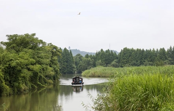 In pics: Xiazhu Lake National Wetland Park in east China's Zhejiang