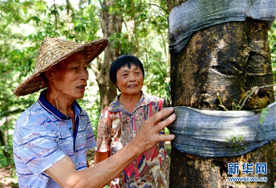 （新华全媒头条·壮阔历程40年系列述评·图文互动）（2）风雨砥砺 壮丽史诗——从改革开放40年看中国奇迹