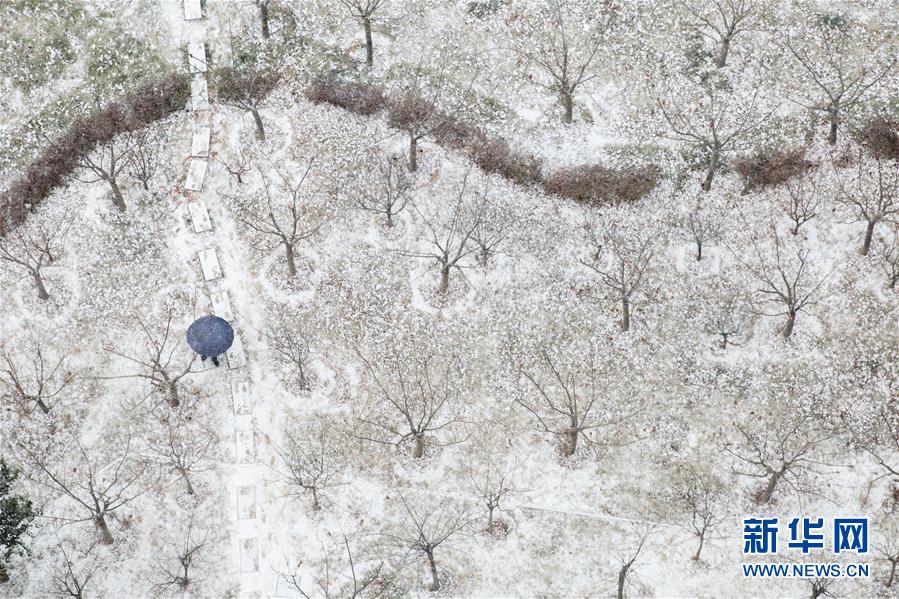 #（环境）（1）瑞雪迎新年